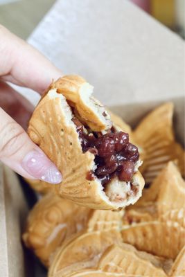 Lazi Cow - Frisco by null