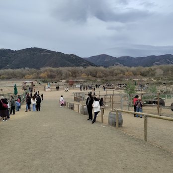 Ostrichland USA - A view of the farm - Attraction Farms Near Me - Solvang, California Ostrichland USA - A view of the farm - Attraction Farms Near Me - Solvang, California
