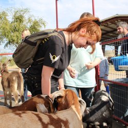 HBA Petting Zoo