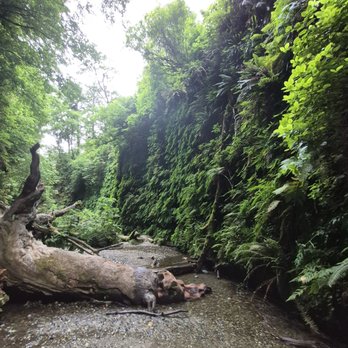 Fern Canyon Trailhead - Parks Near Me