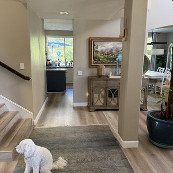 Love Home Floor - Chloe, the adorable dog, just had to be in the picture at the entryway. - Flooring Near Me - Santa Ana, California