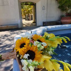 Sunrise Nursery - Flowers