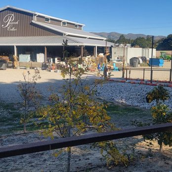 Peacock Cellars - Great space for kids to hang out! - Wine Tasting Room Near Me - Arroyo Grande, California