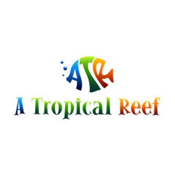 A Tropical Reef - Local Fish Stores Near Me - Seminole, Florida A Tropical Reef - Local Fish Stores Near Me - Seminole, Florida