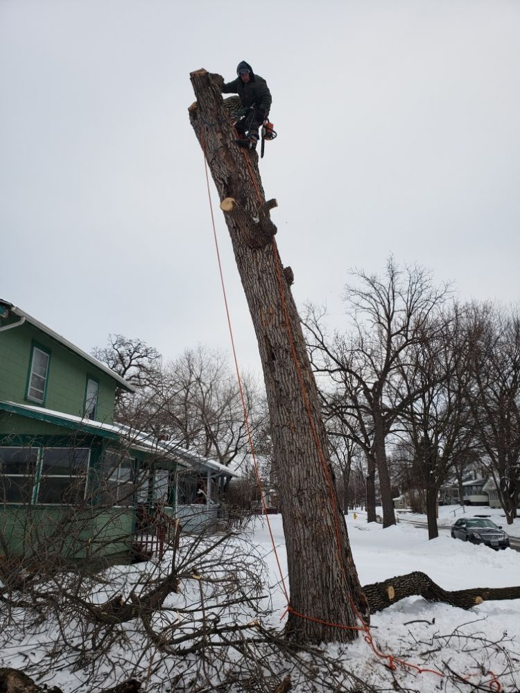 Mallard Tree Service - tree service in Des Moines, IA