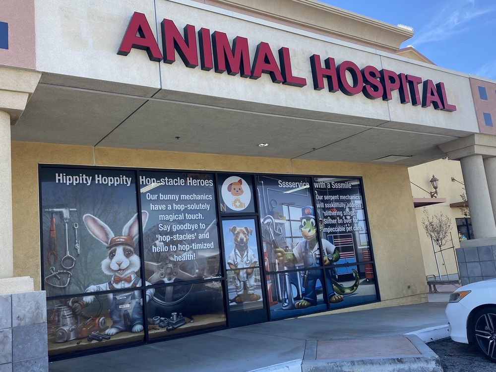 PET CHECK ENGINE ANIMAL HOSPITAL Updated May 2024 22 Photos 40125