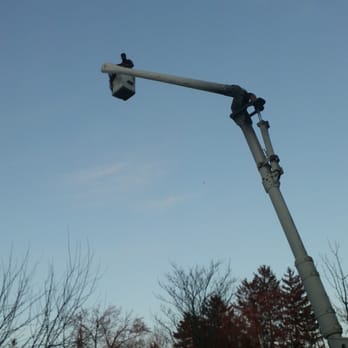 Tico's Tree Service - Tree Services Near Me - West Orange, New Jersey
