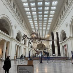 Watson Adventures - Field Museum