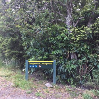 Kauaeranga Country - Bed & Breakfast Near Me - Coromandel, WKO