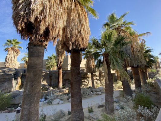 Agua Caliente Cultural Museum by null