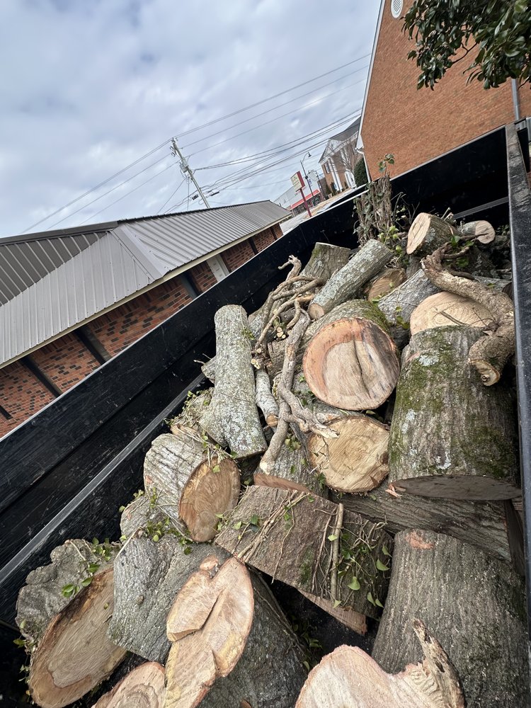 K&C Tree Service - tree service in Boaz, AL