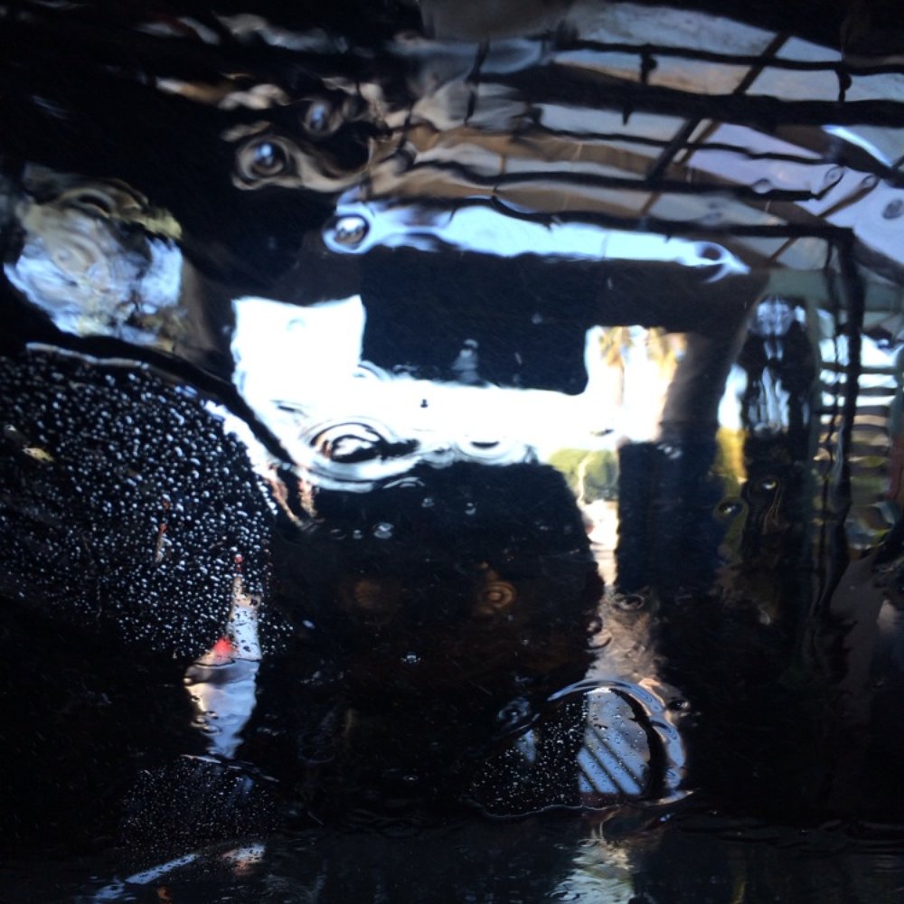 Inside the car wash