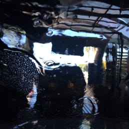 Inside the car wash