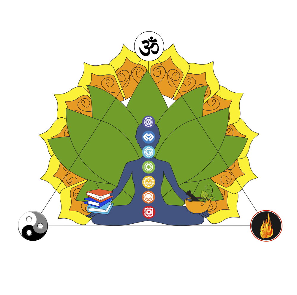 SATTVA AYURVEDA Updated October 2024 45 Baker St E, Saint Paul