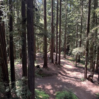 Roaring Camp Railroads - Venues & Event Spaces Near Me - Felton, California Roaring Camp Railroads - Venues & Event Spaces Near Me - Felton, California