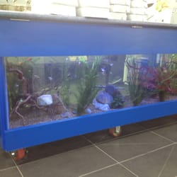 Williamstown Fresh Fish Supplies - Über cool