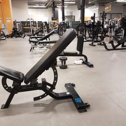 Econofitness