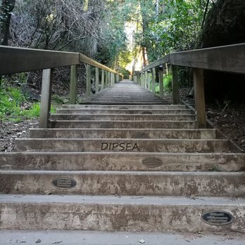 Love to Explore - A long climb up! - Bike tours Near Me Love to Explore - A long climb up! - Bike tours Near Me