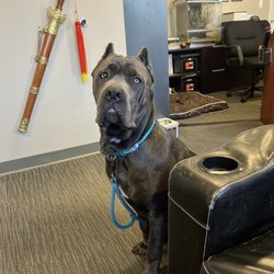Bay Area Tactical - Biggest baby ever