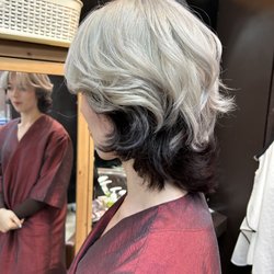Hair By Julia - Two tone color