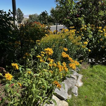 Basin Cafe - Flowers - Burgers Near Me - Lee Vining, California Basin Cafe - Flowers - Burgers Near Me - Lee Vining, California