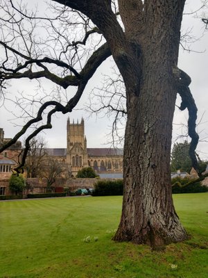 The Bishop's Palace & Gardens by null