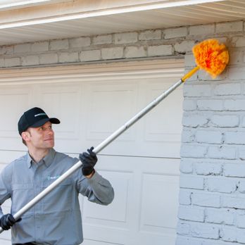 Bug Shark - Pest Control Near Me - Cincinnati, Ohio Bug Shark - Pest Control Near Me - Cincinnati, Ohio