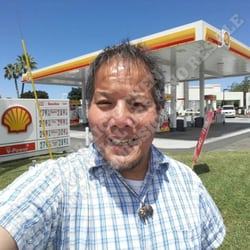 Steele Lane Shell