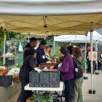 The Free Farm Stand - people buying vegetables - Farmers Market Near Me - San Francisco, California The Free Farm Stand - people buying vegetables - Farmers Market Near Me - San Francisco, California