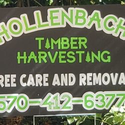 Hollenbach Timber Harvesting