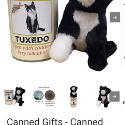 Screenshot from Internet of what the stuffed cat inside the can looks like.