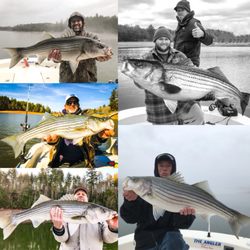 Big Ol' Fish Guiding Service - More trophy stripers! Fishing on Lake Nottely and Lake Hiwassee!