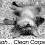 Photo of Nice Guys Carpet Cleaning & Restoration