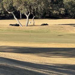 Cedar Creek Golf Course - Hole   2
