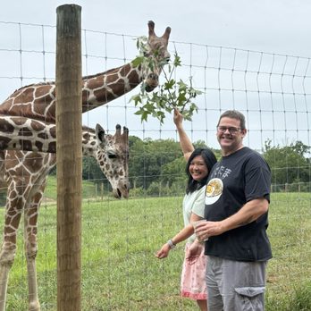 Wilde Manor - included with your stay- interaction feeding the giraffes - Bed & Breakfast Near Me - South Boston, Virginia Wilde Manor - included with your stay- interaction feeding the giraffes - Bed & Breakfast Near Me - South Boston, Virginia