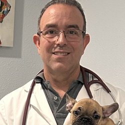 Bearss Animal Hospital