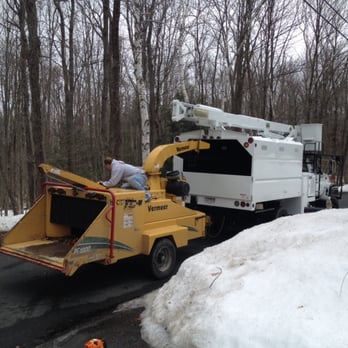 Beach Point Tree Service - Tree Services Near Me - Forestdale, Massachusetts