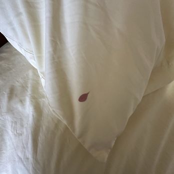 Sleep Inn Motel - Hotels Near Me - St Albert, Alberta Sleep Inn Motel - Hotels Near Me - St Albert, Alberta