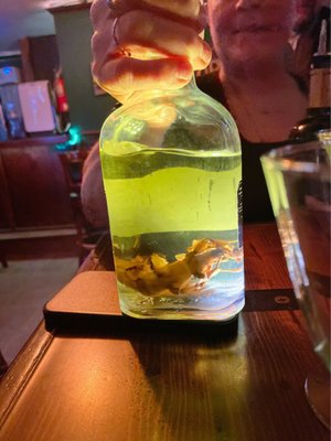 The Absinthe Bar by null