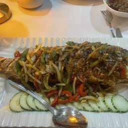 Red Snapper Red Snapper