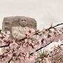 Photo of Martin Luther King, Jr. Memorial