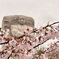 Martin Luther King, Jr. Memorial - Mar2023