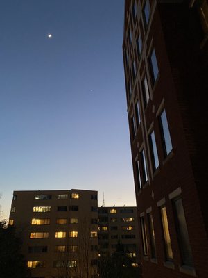 The Saratoga Apartments by null