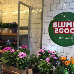 Blume 2000  Billstedt