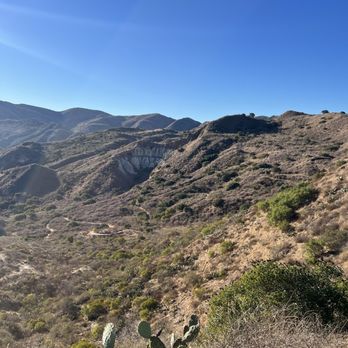Into the Wild OC Trail Runs - Community Service/Non-Profit Near Me Into the Wild OC Trail Runs - Community Service/Non-Profit Near Me
