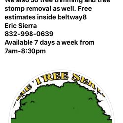 Julie Tree Removal Service