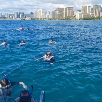 Living Ocean Tours - Snorkeling Near Me - Honolulu, Hawaii Living Ocean Tours - Snorkeling Near Me - Honolulu, Hawaii