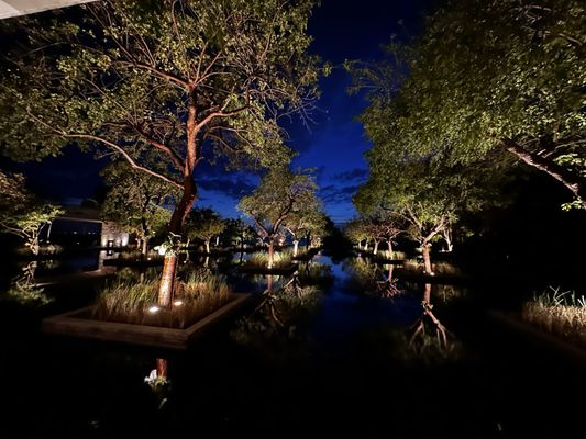 NIZUC Resort & Spa by null