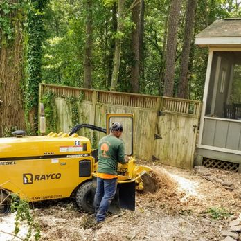 Youngs Tree Tech - Tree Services Near Me - Raleigh, North Carolina