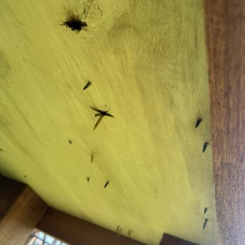 Bonfire Burritos - Dangerous, sharp screws under the children's activity table - Mexican Near Me - Wheat Ridge, Colorado Bonfire Burritos - Dangerous, sharp screws under the children's activity table - Mexican Near Me - Wheat Ridge, Colorado